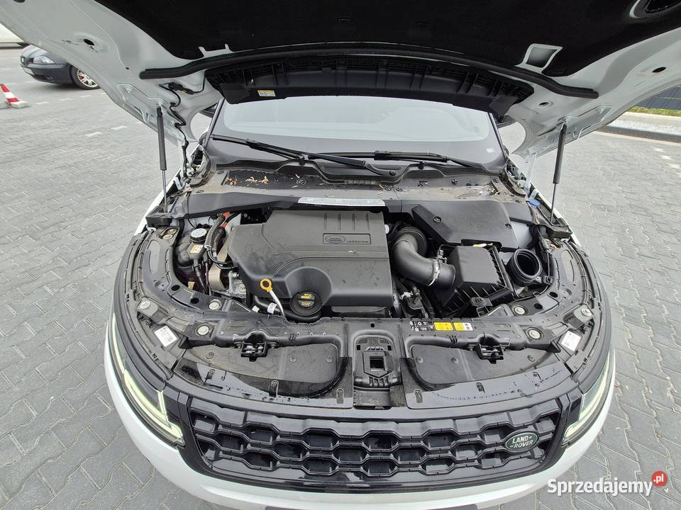 Syndyk sprzeda Range Rover Evoque 20 Si4 MR19