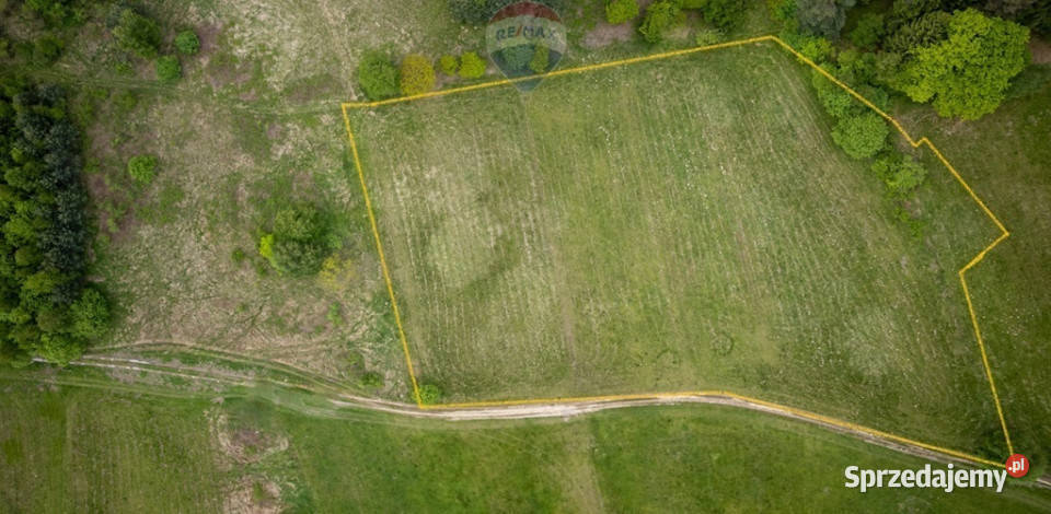 DZIAŁKA Z WIDOKIEM NA BABIĄ GÓRĘ utwardzona Sprzedaż Krzeszów