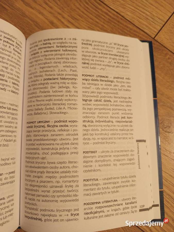 Słownik terminów literackich Serock