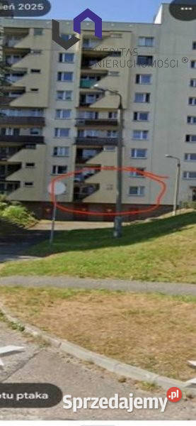Ogłoszenie mieszkanie 468m2 2 pokoje Chorzów blok sprzedam