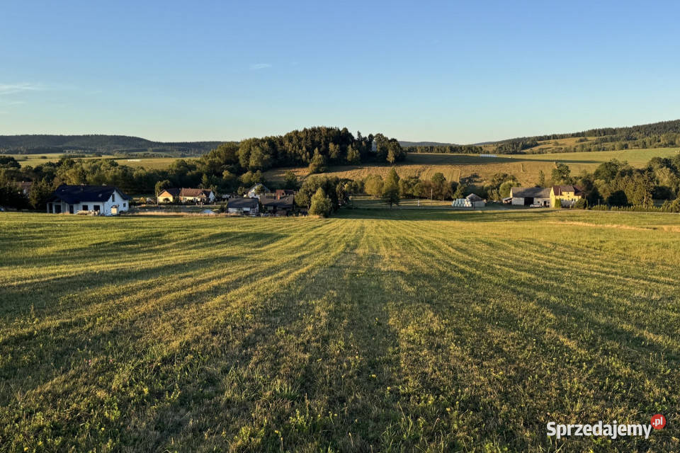 Działka 99a rolbud Smerekowiec Uście Gorlickie 9900m2 sprzedam