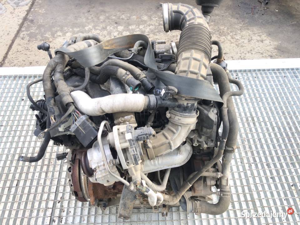 SILNIK KOMPLETNY FORD TRANSIT VI YLF6 Silniki kompletne