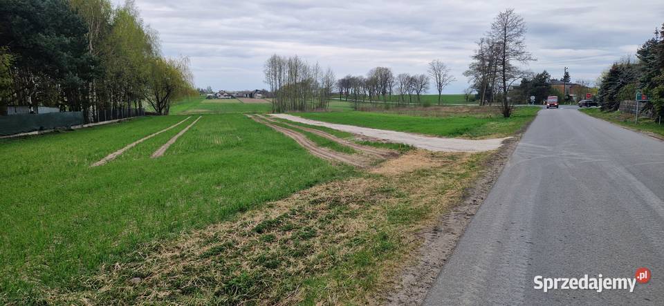 sprzedam działkę budowlaną łódzkie Czarnożyły sprzedam