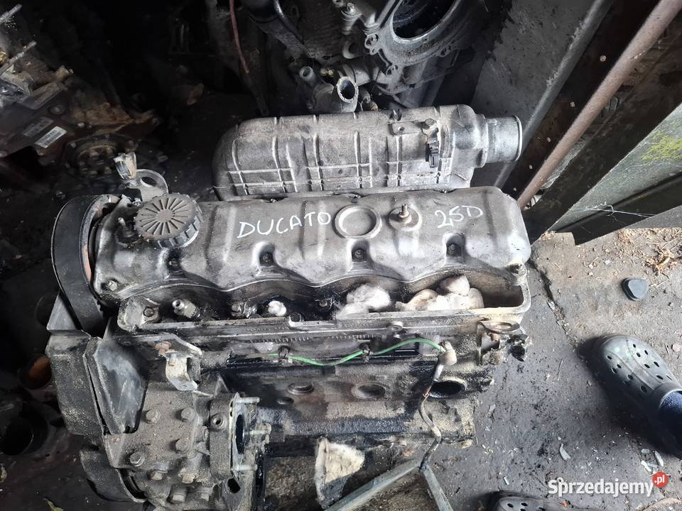 FIAT DUCATO 25 D silnik motor 9402r świętokrzyskie Kielce