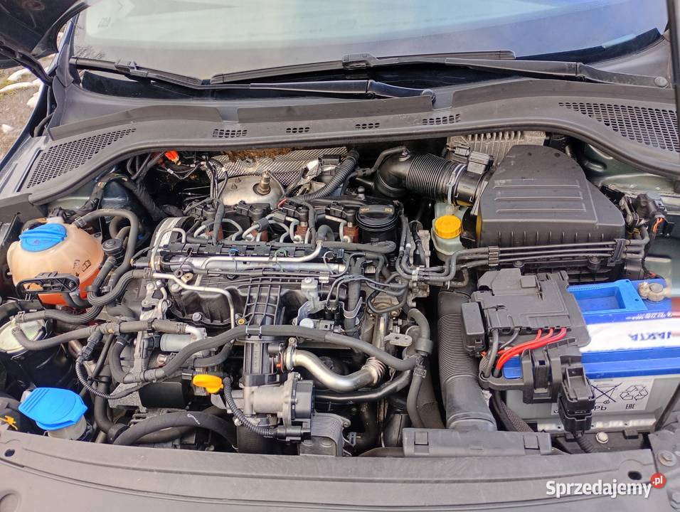 seat toledo 2016 r 1600 TDI 90 stan b Hatchback Toledo Nysa