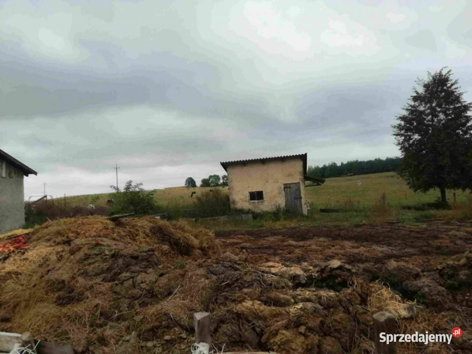 Sprzedam siedlisko 15 ha na Mazurach Sprzedaż Gawliki Wielkie