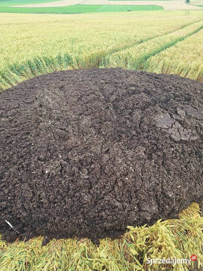 Obornik, kurzak, pomiot, bobek, kompost