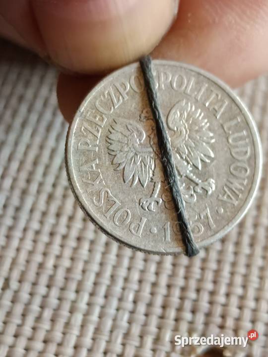 50 gr 1957r lekka skretka sprzedam Numizmatyka Chełm