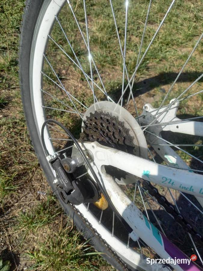 Rower ROMET JOLENE 24 Jędrzejów sprzedam