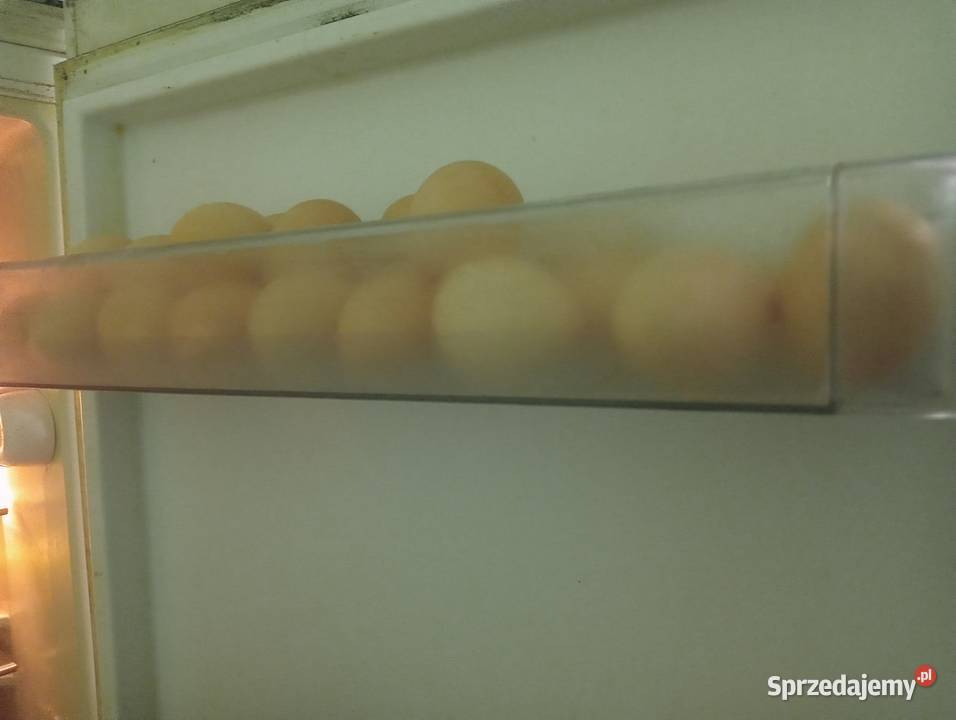 Jaka Jajka wiejskie z wolnego wybiegu Jasienica Rosielna