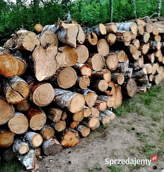 Drewno opałowe Sosna grubaOlszynabrzozatransport