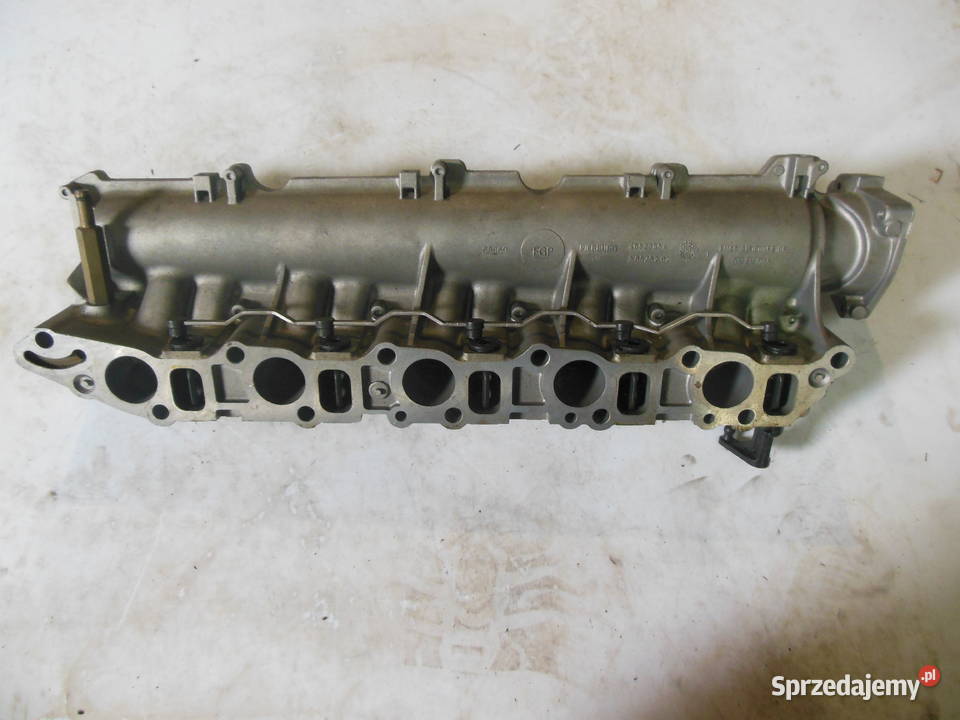 55201445 KOLEKTOR SSĄCY 24 JTDM NOWY ORYGINAŁ Kozy sprzedam