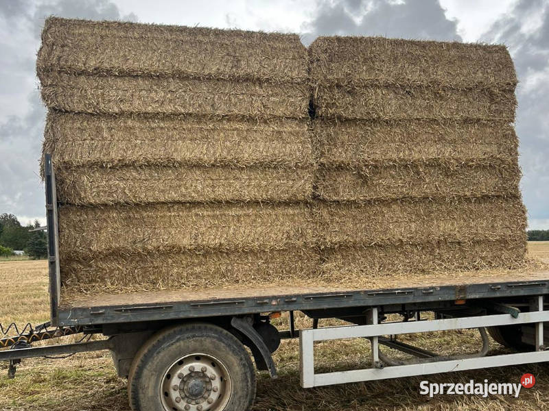 Sznurek do pras Tama Twine 130 ceglasty 1100m Nakło nad Notecią