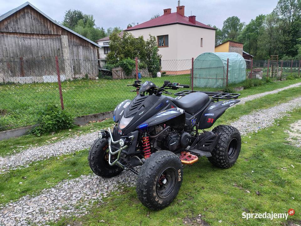 Quuad Dinli Lacki star 300 Duży Medynia Głogowska