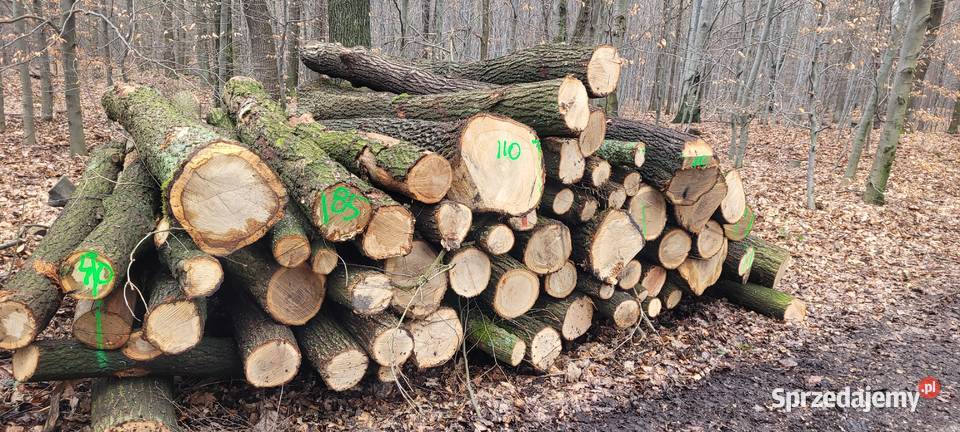 Drewno bukowe dębowe jesion brzoza Katowice sprzedam