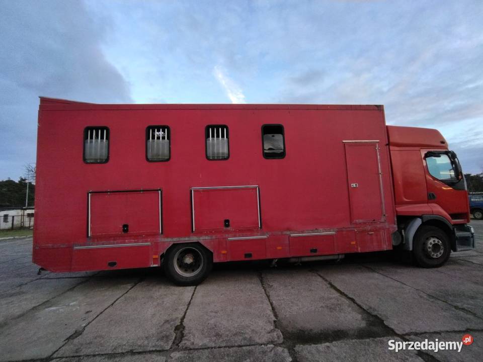 Koniowóz 380KM Poznań sprzedam