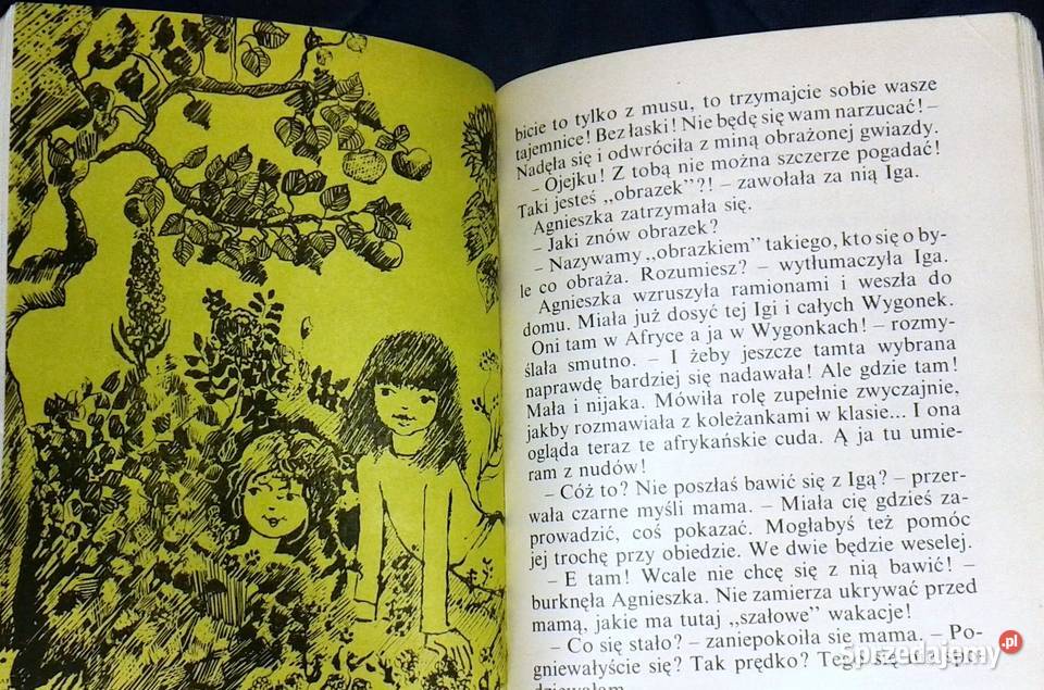 Chciałam być gwiazdą Maria Kowalewska Książki i Podręczniki Chełm