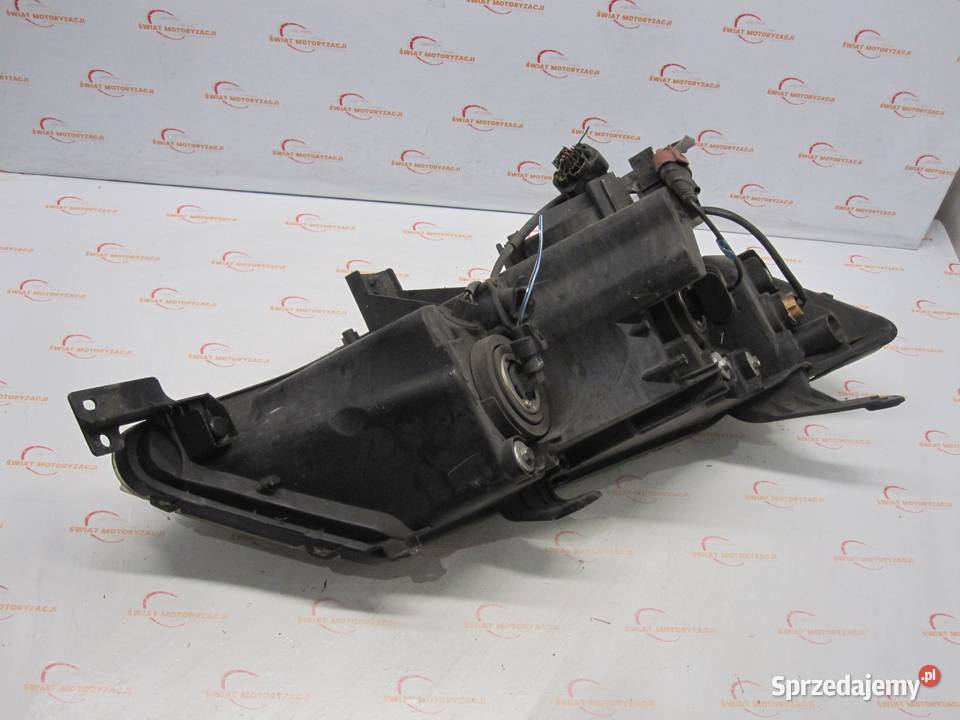 OUTLANDER II 08r lampa lewa przód ANGLIK Kielce