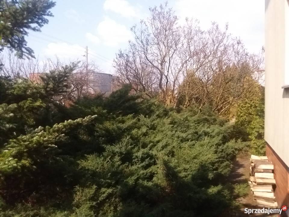 Sprzedam dom Tarnowskie Góry doskonała Domy Tarnowskie Góry