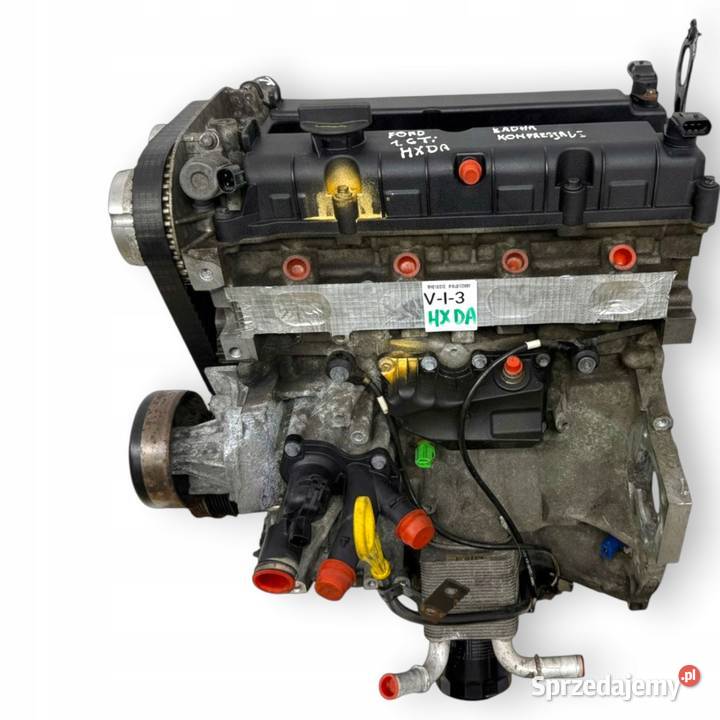 SILNIK HXDA Ford Focus II MK2 C C 16 16V Ti HXDB Chełm sprzedam