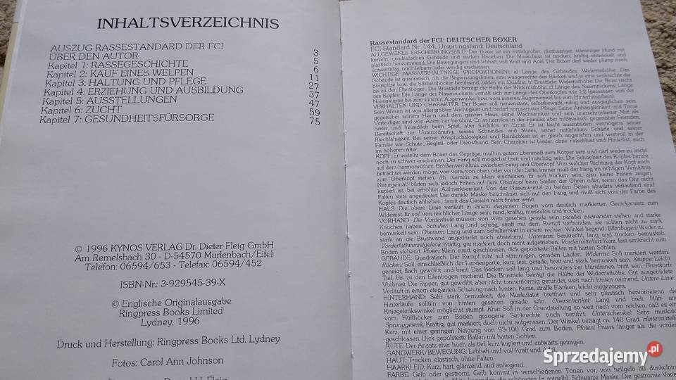 Deutscher Boxer von Andrew H Brace Gdańsk