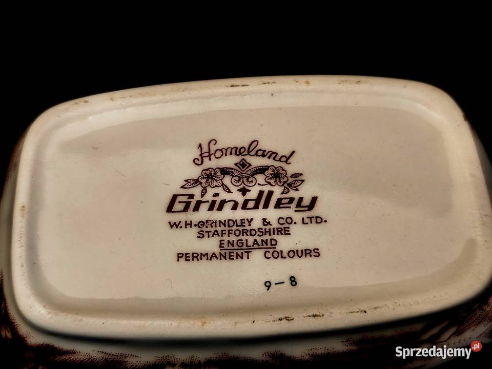 Sosjerka angielska Grindley Homeland Chełm