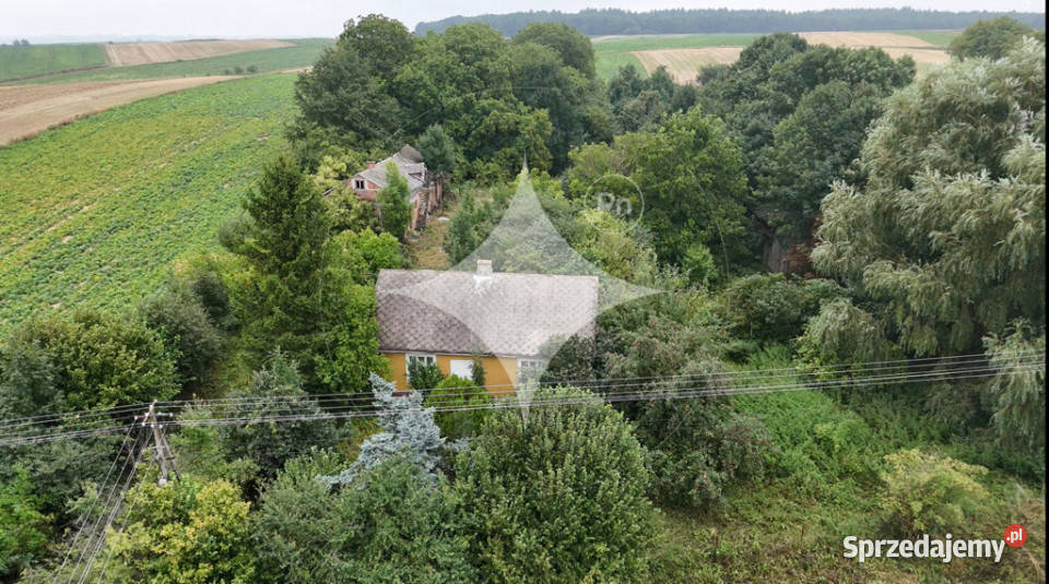 Gospodarstwo rolne dom pole i sad 088 ha asfalt Telatyn sprzedam