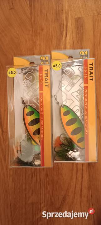 Pontoon 21 trait 5 Wrocław