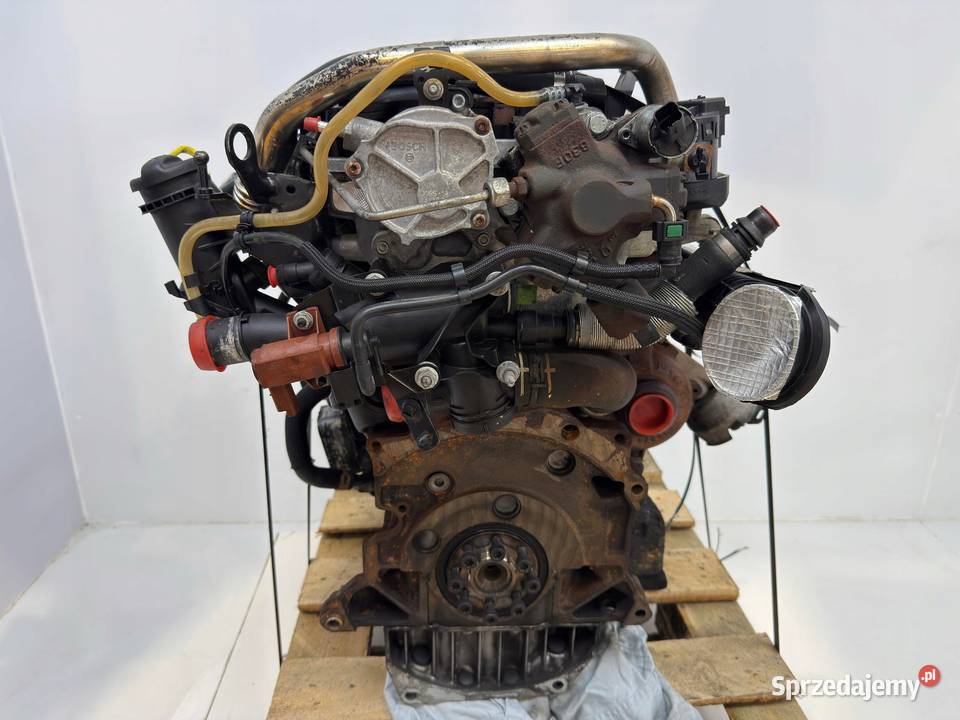 SILNIK G6DB Ford C C 20 TDCI 136 G6DA G6DD G6DG osobowe Części samochodowe Chełm sprzedam