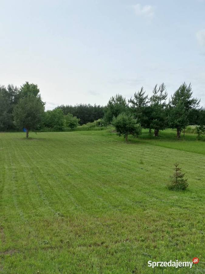 KOSZENIE TRAWY RYKI lubelskie