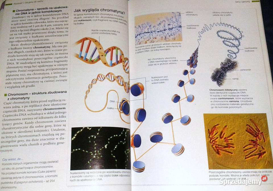 Biologia na czasie Emilia Bonar S Czachorowski Kultura i Rozrywka lubelskie Chełm