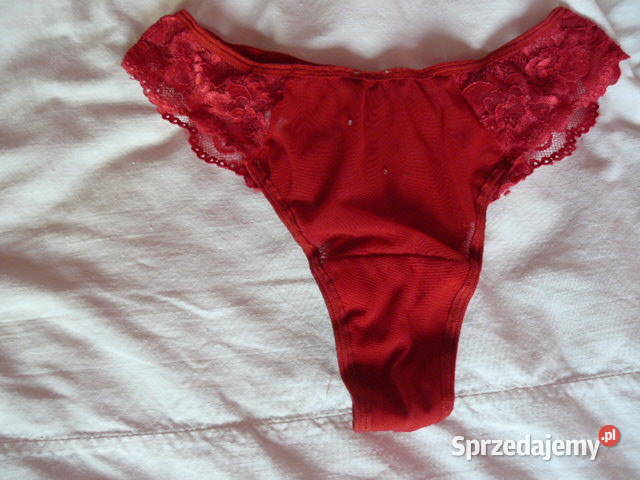 Stringi Evana Taternik podkarpackie Rzeszów