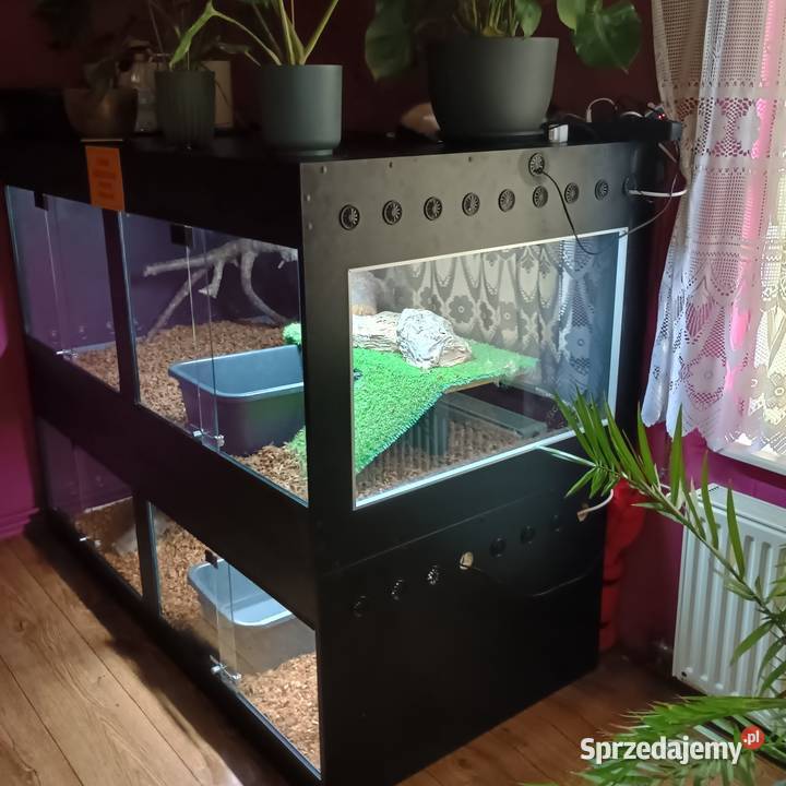 Terraria Terrarystyka Kraśnik