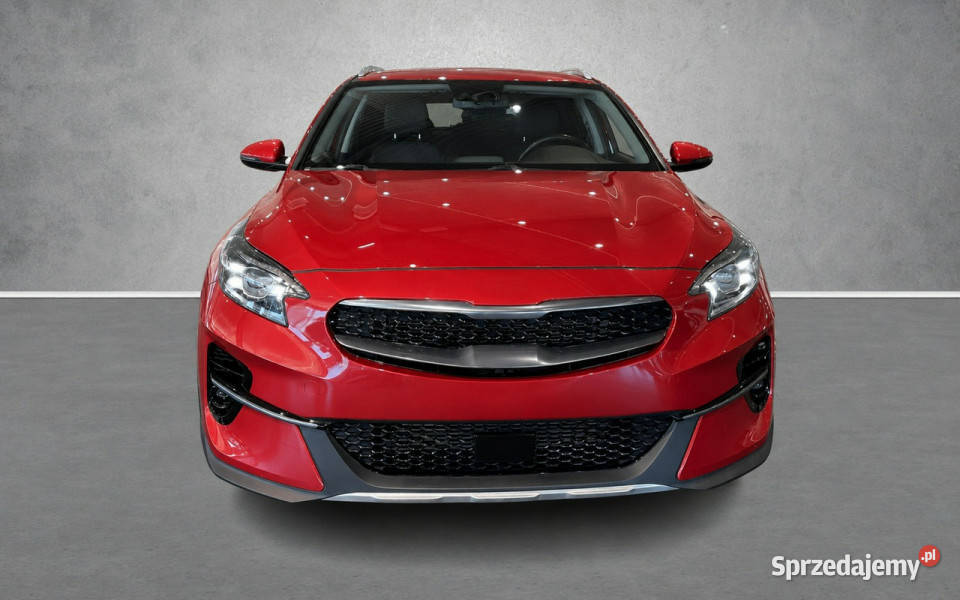 Kia XCeed wielkopolskie Sadlno