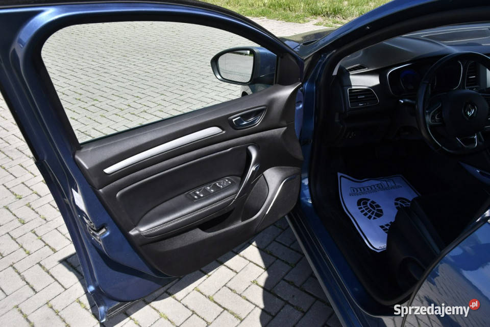 Renault Megane 15DCI Dudki11 Kutno