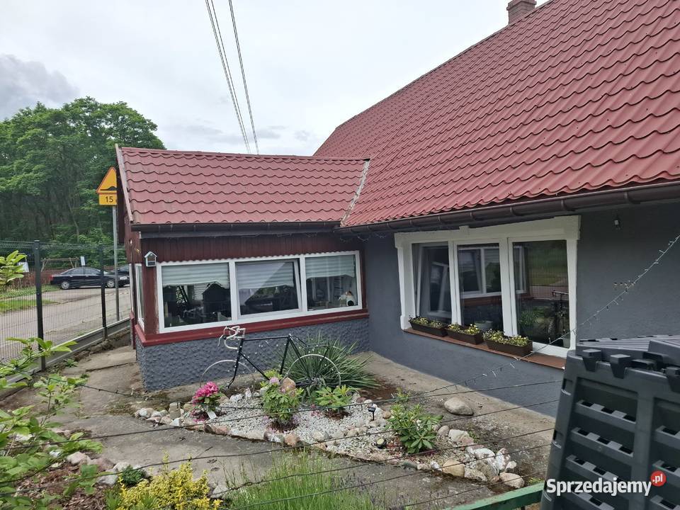 Dom krzypnica gryfino 3500m2 sprzedam