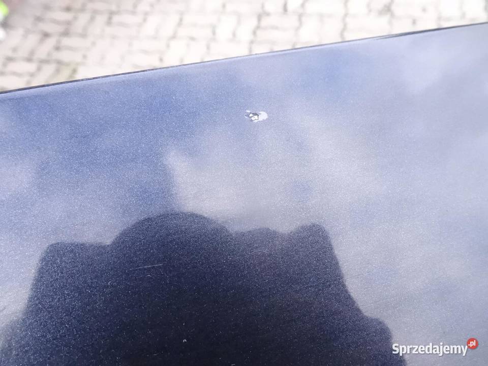 AUDI A8 D3 0307 BLOTNIK LEWY PRZOD LZ9W Przemęt