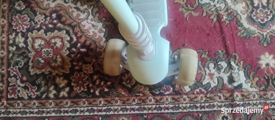 Hulajnoga podkarpackie