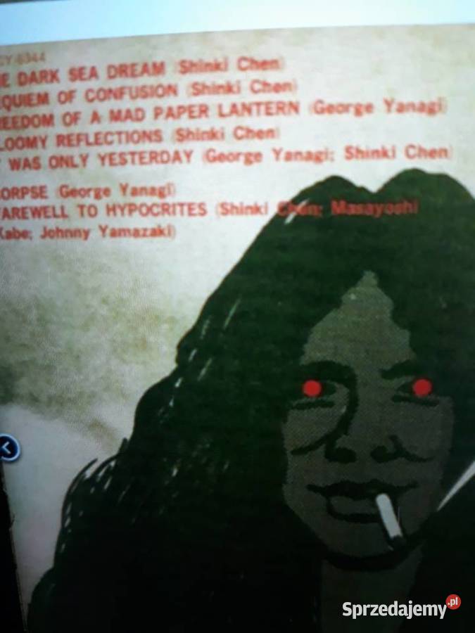 Archiwum japońskiego hard rocka SHINKI CHENHis podkarpackie Rzeszów sprzedam