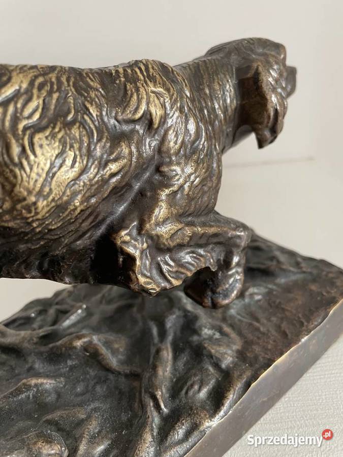 Piękna stara figura z brązu psa Łódź sprzedam