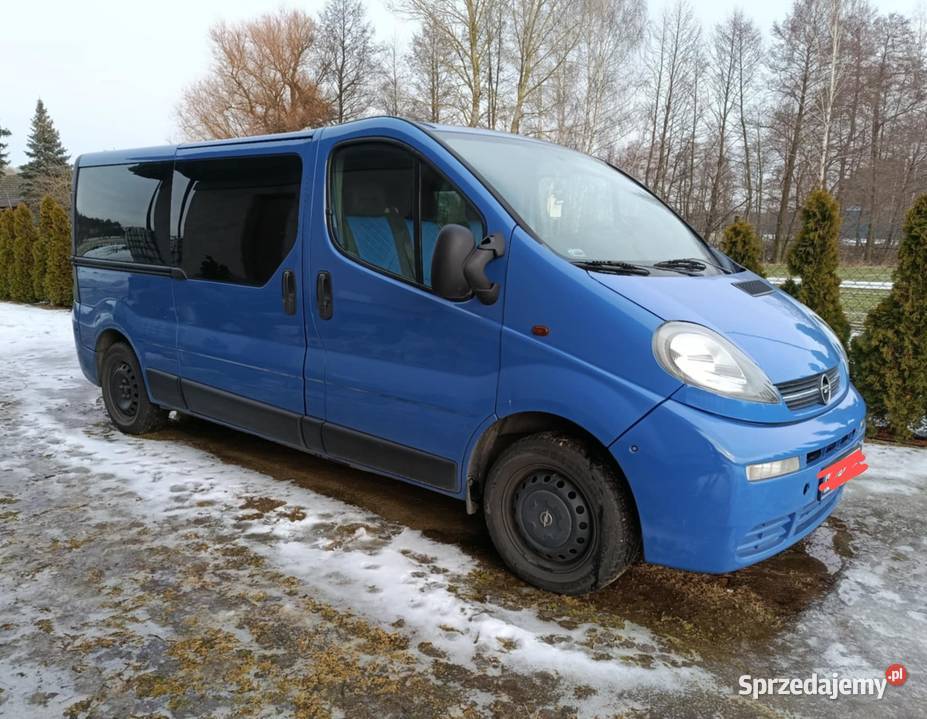 Opel Vivaro Long 9 osobowy Rok produkcji 2004 wielkopolskie Sompolno