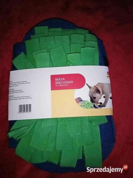 Mata węchowe zwierząt Łódź