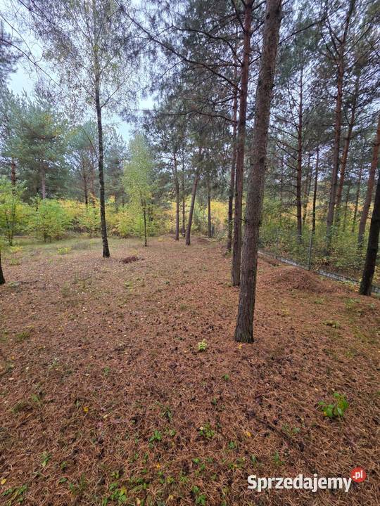 Działka budowlana 45m