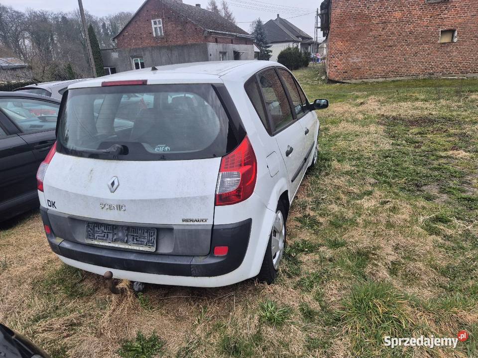 Scenic 19 dci 6 biegów Prusinowo