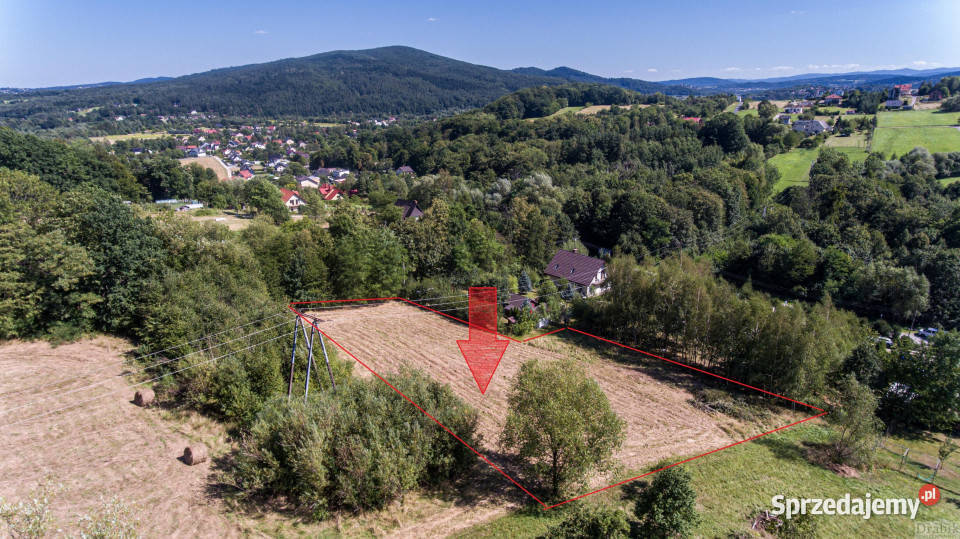 Działkę sprzedam 2385m2 Gorzeń Dolny Dworkowa