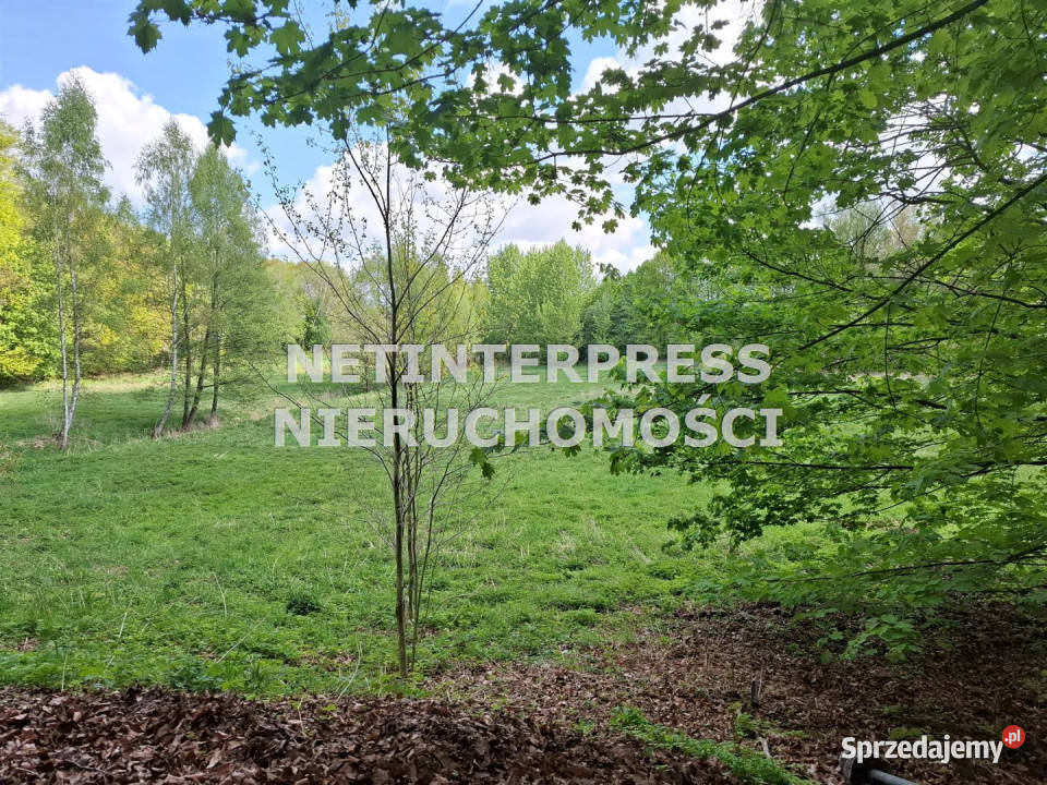 Sprzedam grunt 21423 metry Szczecinek 21423m