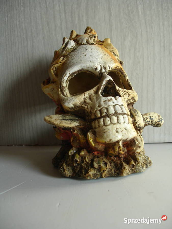 Ozdoba do akwarium nowa Zielona Góra