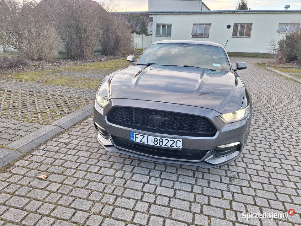 Ford Mustang 37 V6 Ładny Doinwestowany Zamiana 3700cm3 Sulechów
