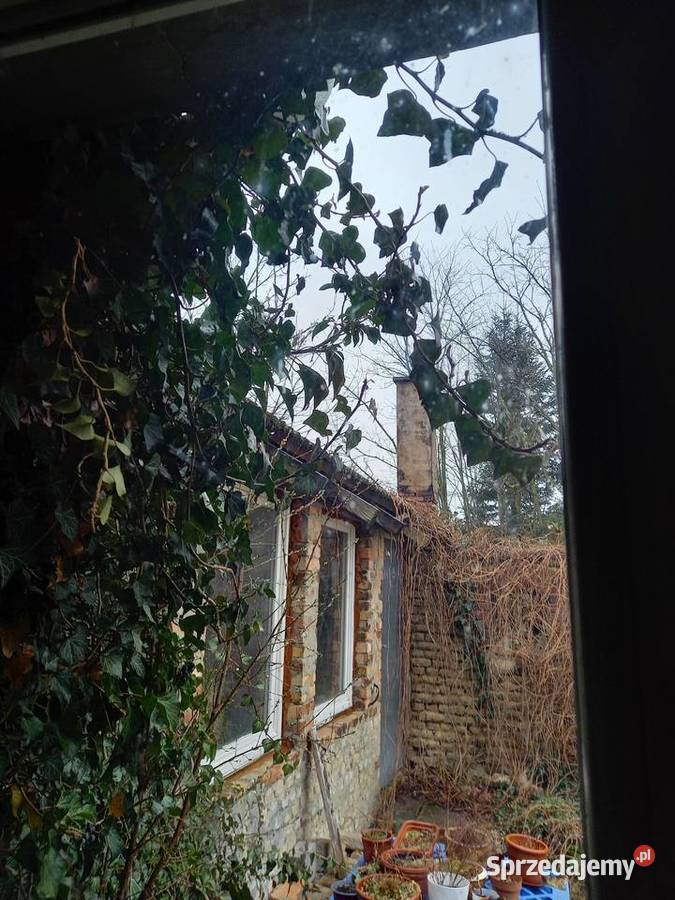 Dom wiejski bez sąsiadów lubuskie ok Janiszowic mieszkalny lubuskie Janiszowice sprzedam