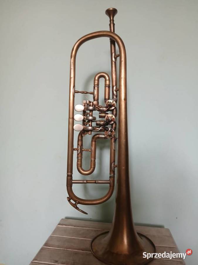 Stara mosiężna trąbka blaszane Instrumenty dęte małopolskie